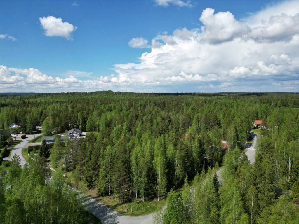 Ilmakuva Puskanmäeltä